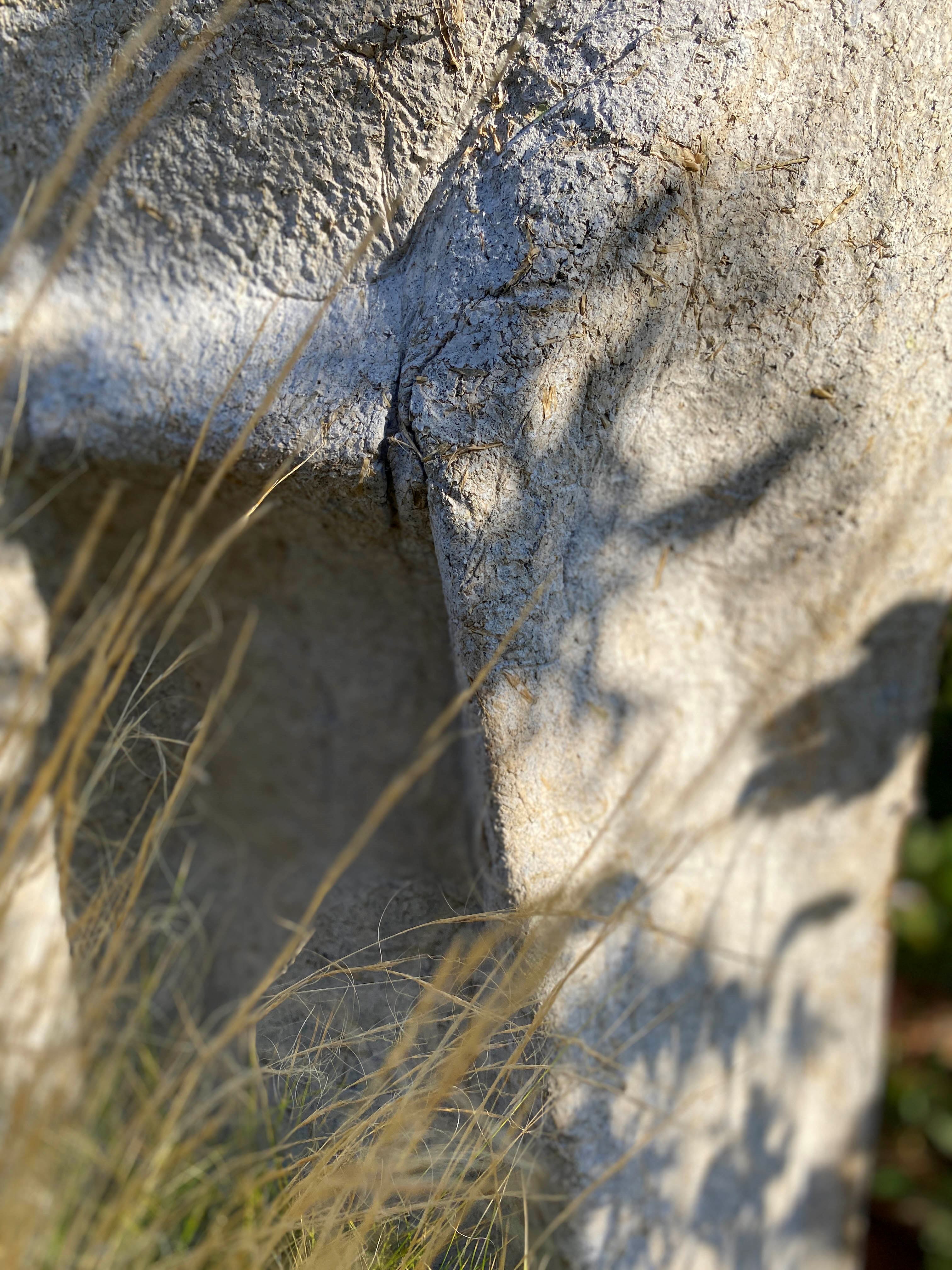 Pulp Fusion - Paper Chair Project